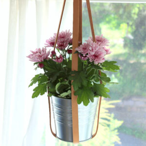 Nahka-amppeli Suvi - vaalea nahkainen amppeli